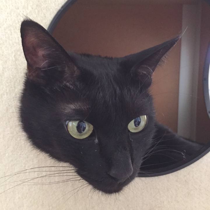 775d5672 a4ec 45ad ae75 4426c586f07c