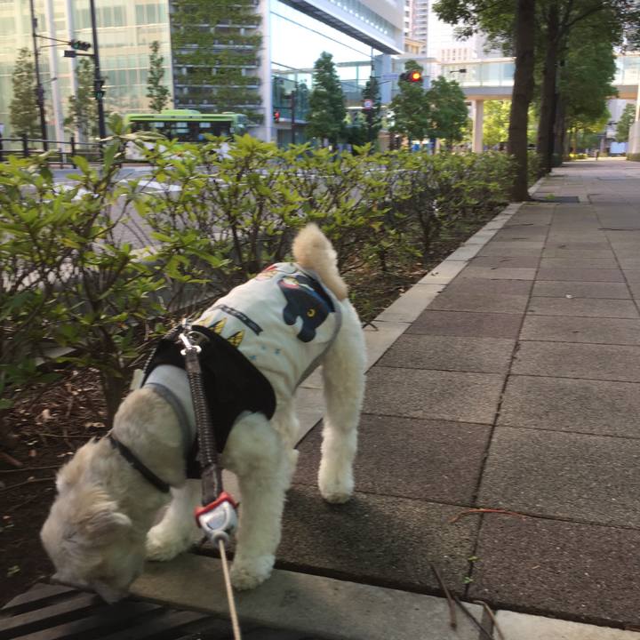 775dabed 8e8e 497b 9df8 66e1a387fdea