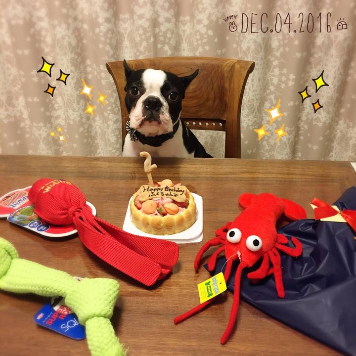 775dc58e 5f2d 4611 a332 afd7553cb6ed