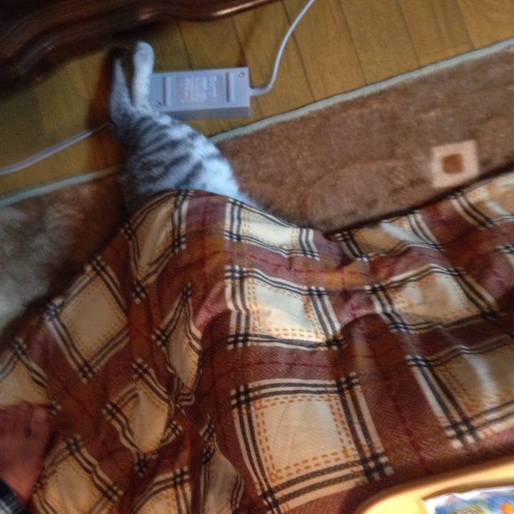 775de4ca f457 43f3 96e3 ad0d051bebb3