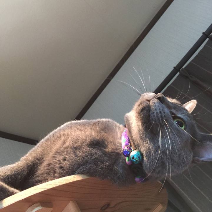 775e69af 4d84 4eac 8bb9 9850347651e5