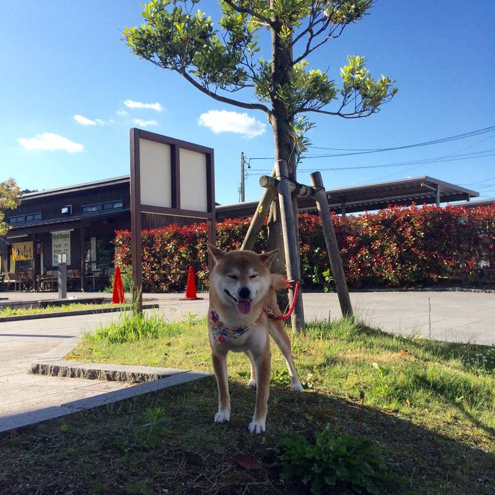 775faafc e522 4eff a557 57cd7260e8fc