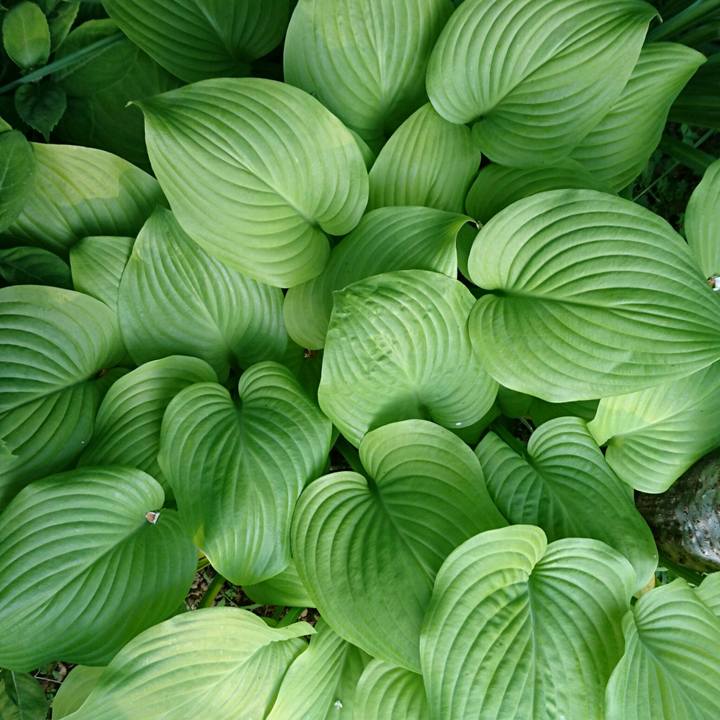 775fb906 3b6f 49c4 b9f4 cec68fd78410