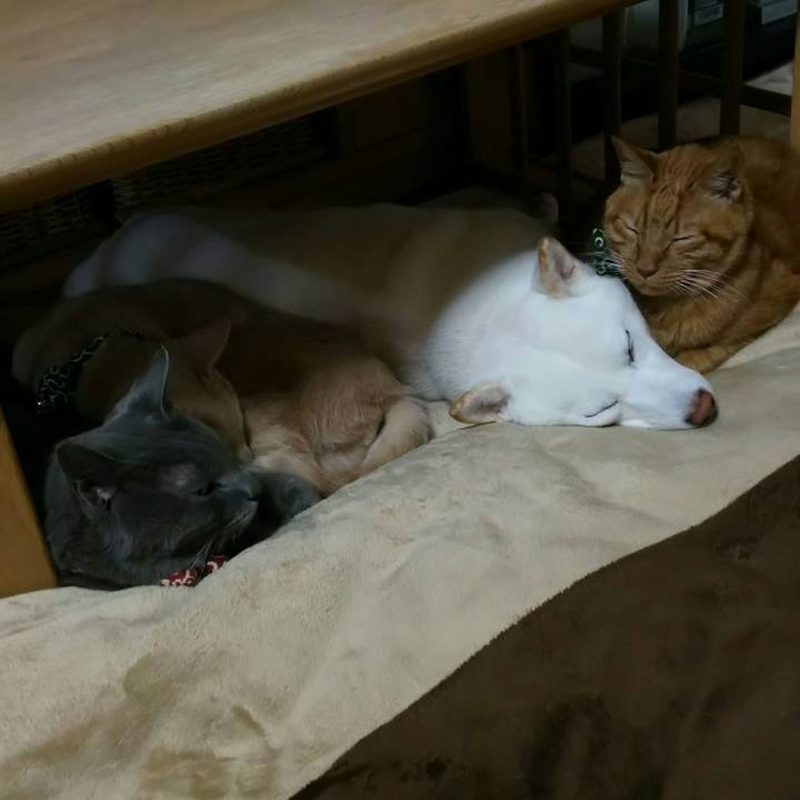 77605e86 ba6e 4522 acc8 37a274bd052c