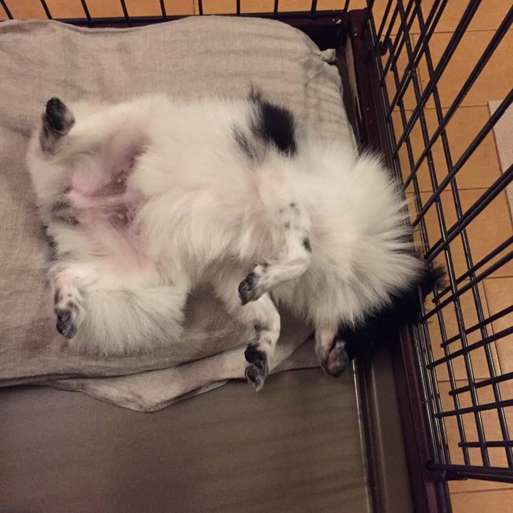 7760bccb 341e 4ed4 baf9 ccb4b8268799