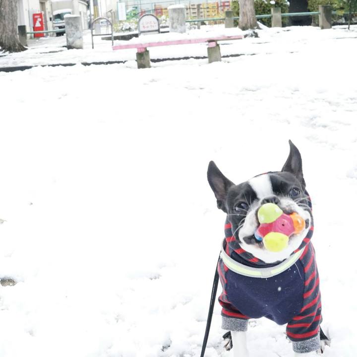 7761497d e6a6 489b b9f2 fc3c4e2346ae