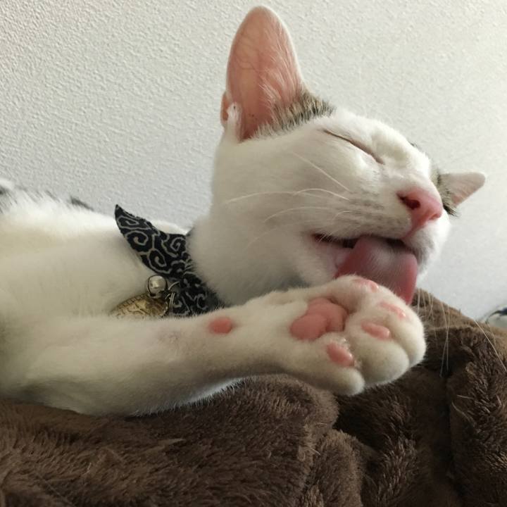 77614a89 c215 47e6 af2d 2fa4bc54aa6e