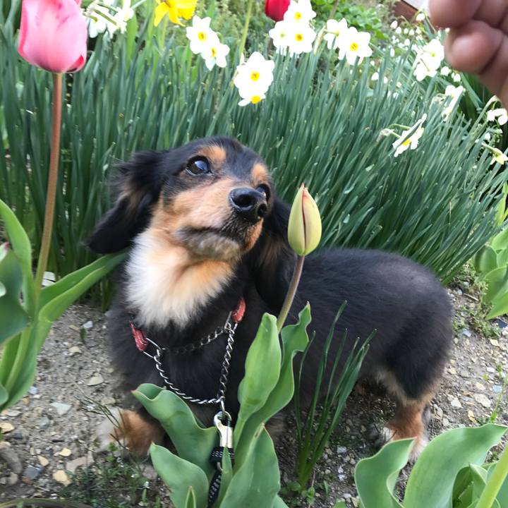 77617777 a25c 4756 98cf 61d5f70a883e