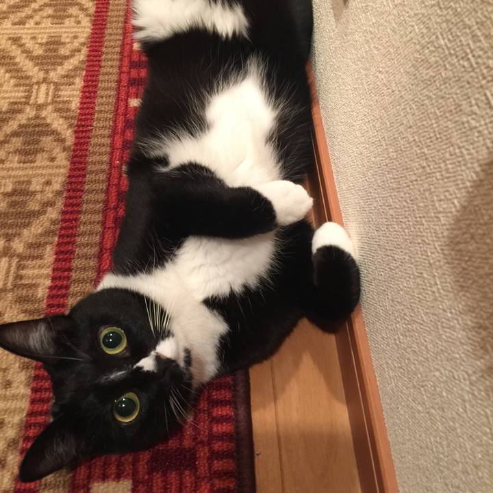 776259fd 6674 4b77 abf1 355b54e233a9