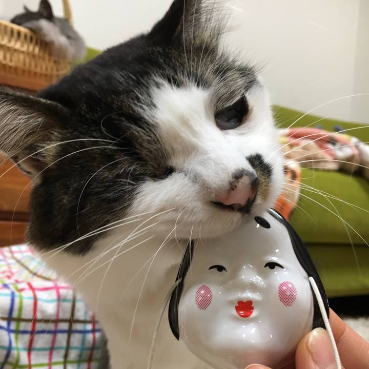 77628930 224f 4720 8e75 9fcd0c6b4850