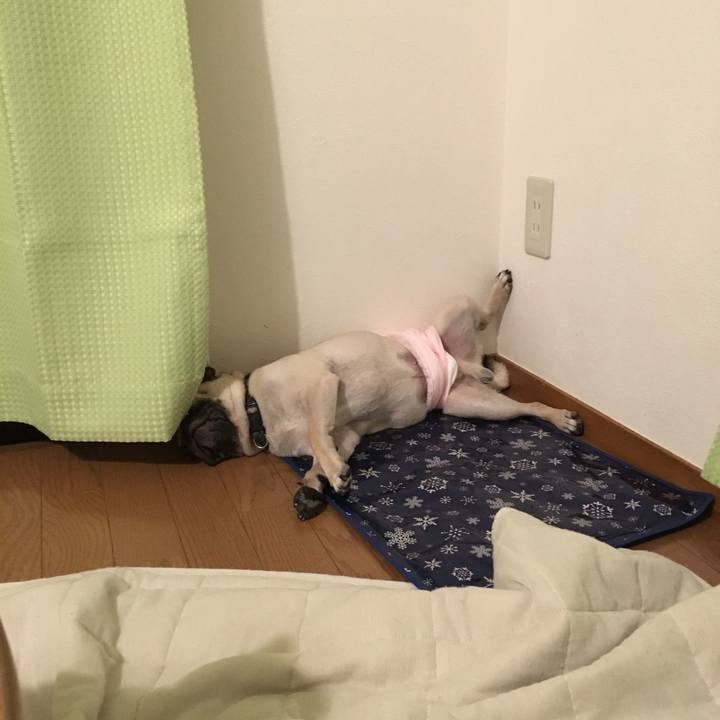 776347b2 b804 446d b3df 6b471667277c