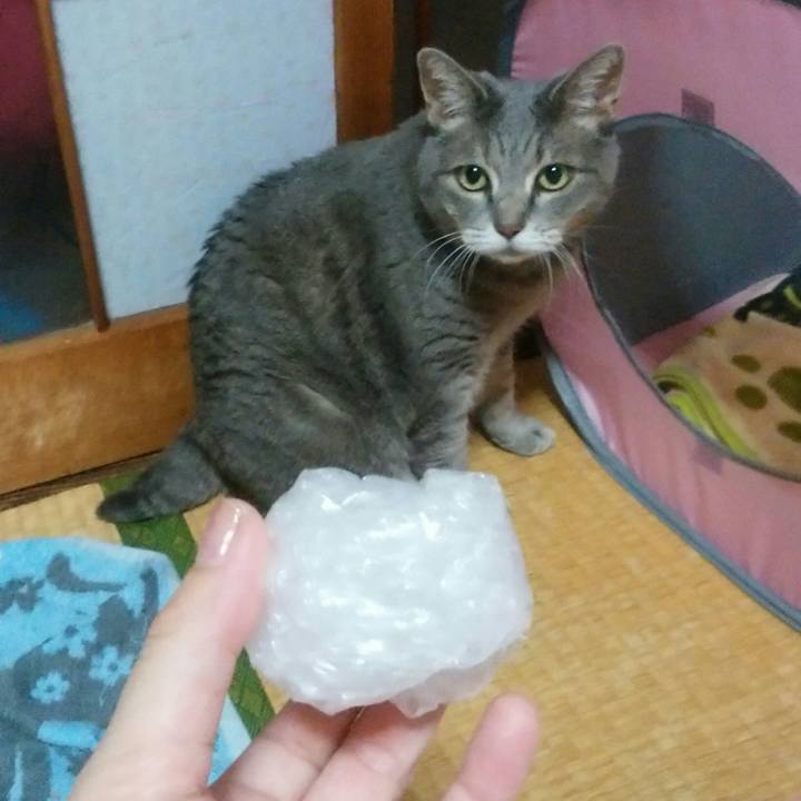 776366f2 72c0 4916 a854 0479ff10893b