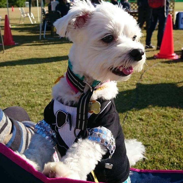 77639748 9274 44b7 bc6d 0fb357a5c247