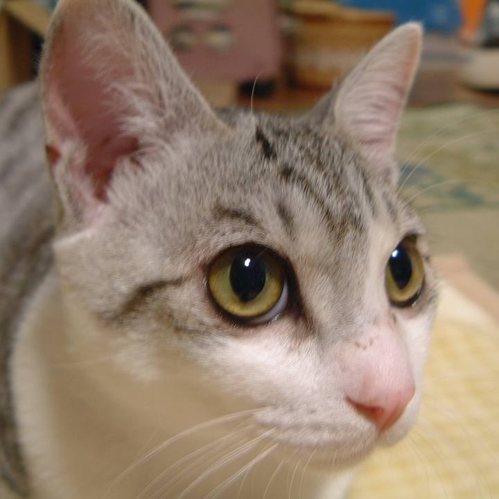 77647965 fd2d 41c3 b8f2 ce45f264b13d