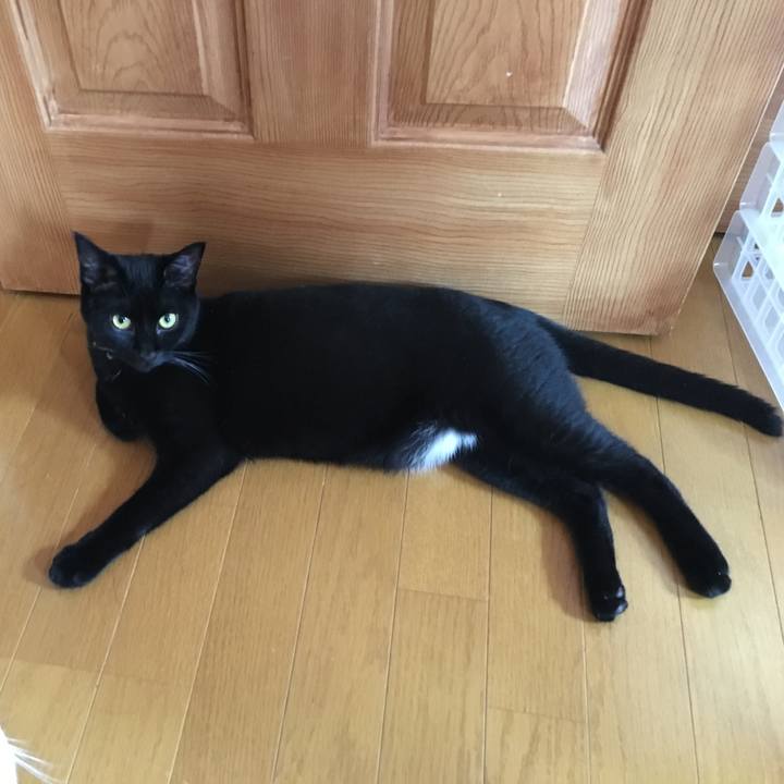 7764be00 a22e 460c 86a6 184393effbf9