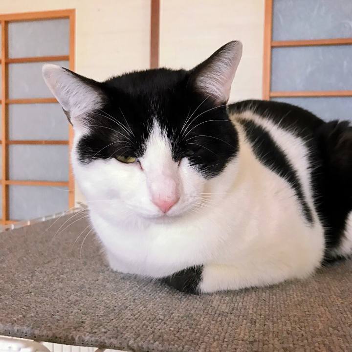 77650474 5058 41c3 a449 b9f3e993f6b2