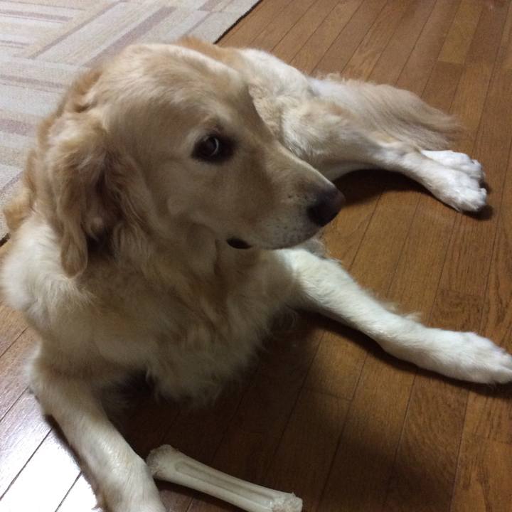 7765271b 4268 47d3 9c74 ead9ce2583f4