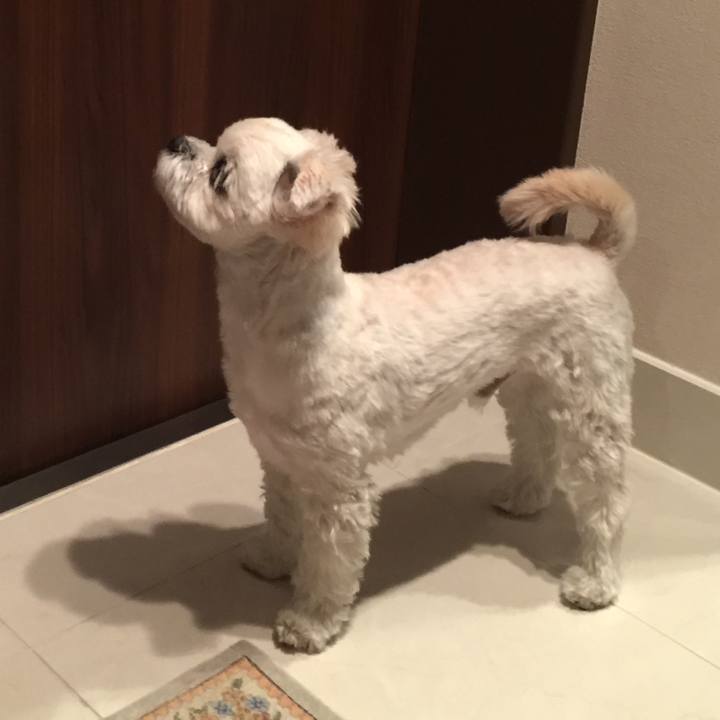 7766249e 4b0a 48b4 85e2 76a6fb03b431