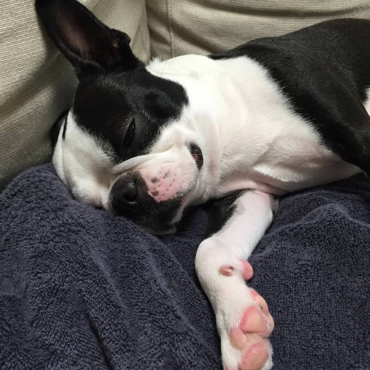 77666319 93c0 4b2a 8181 f62058c37c53