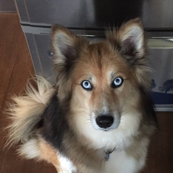 77670301 5830 40b7 97da 4d209b619de0