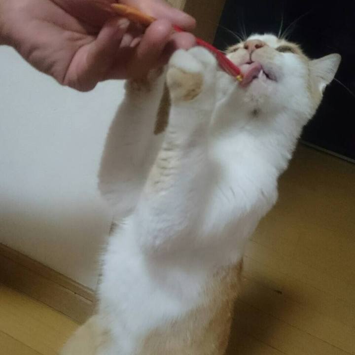 77675760 e9cc 48c1 be81 d7e2f4cc73e7