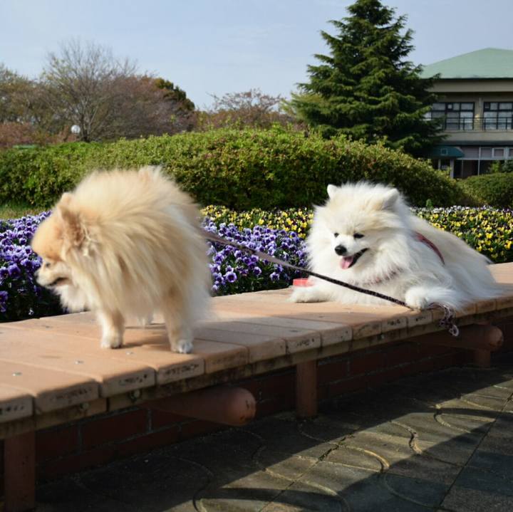 77675ddd c987 4f65 908f 91247d5b689d