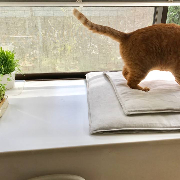 77676697 14ae 4763 8b5c ca76c7c5f847