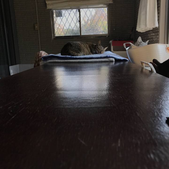 7767d827 6f83 41ab 8b27 6914159b2bd7