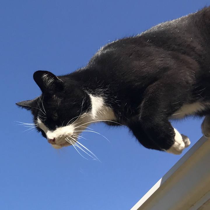 7768d916 90fc 423f aa0a 915a7afd5e6b