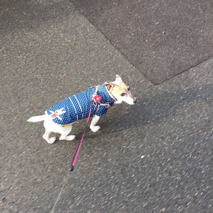 7769ab21 a9f4 48ba 8e6b 2d1d4a1f750f