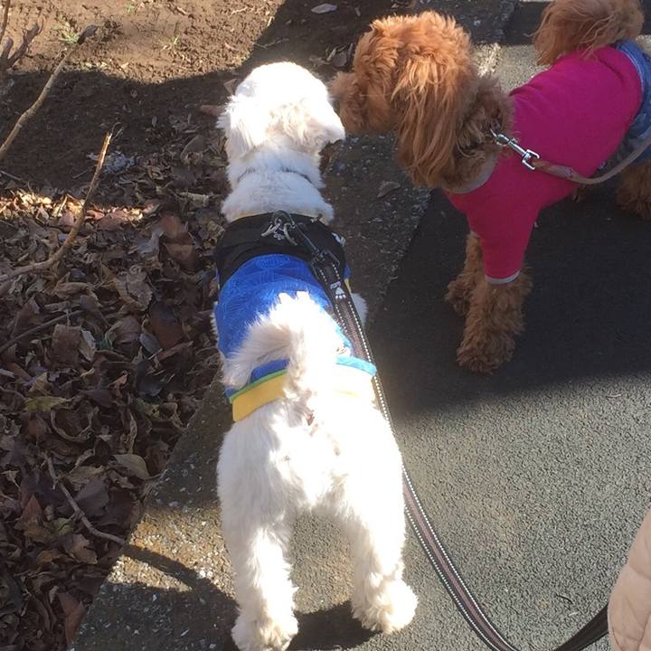 776b5a3d bd2c 4126 b04e 6216778179d6