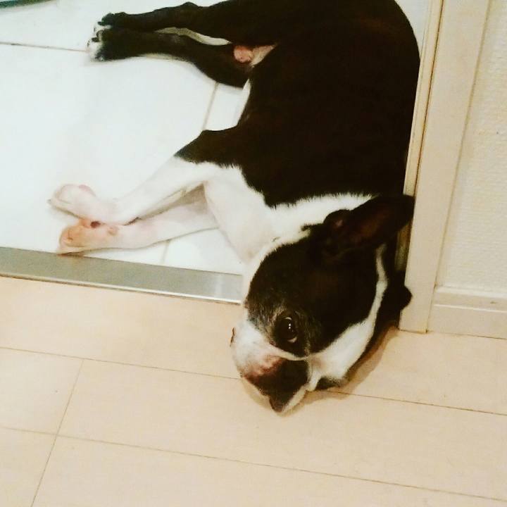 776b79b9 96e1 4181 acad 581be660e7bf