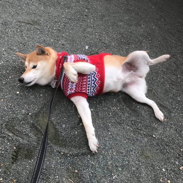 776bd721 cedb 4de7 a808 415583852fbd