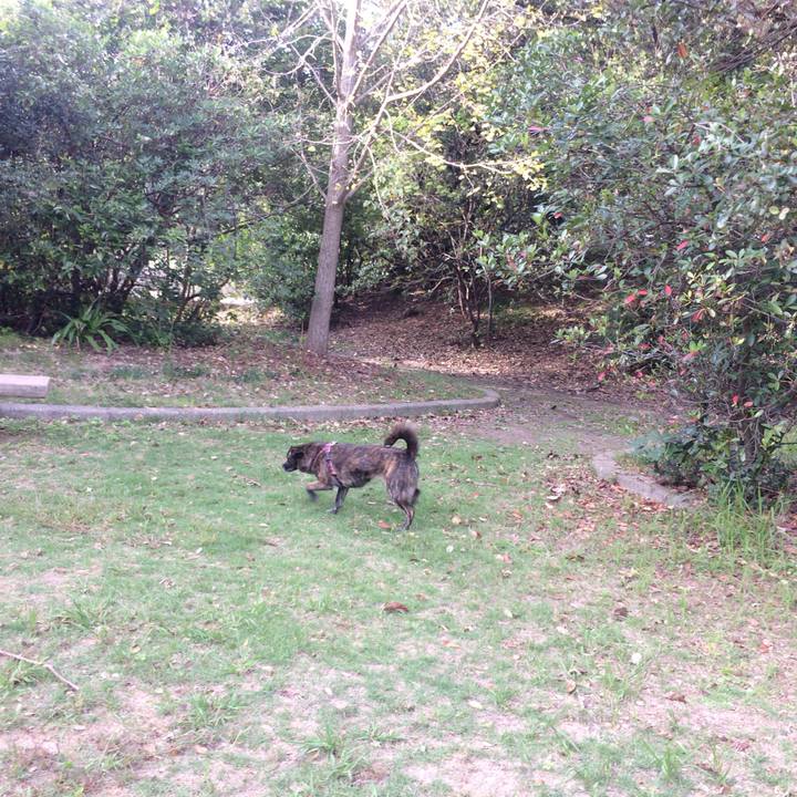 776c9afb f5bb 4d2c 945f c10e7443aa28