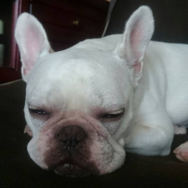 776d0c7c 085f 4d6e 904d b4a19d2127c4