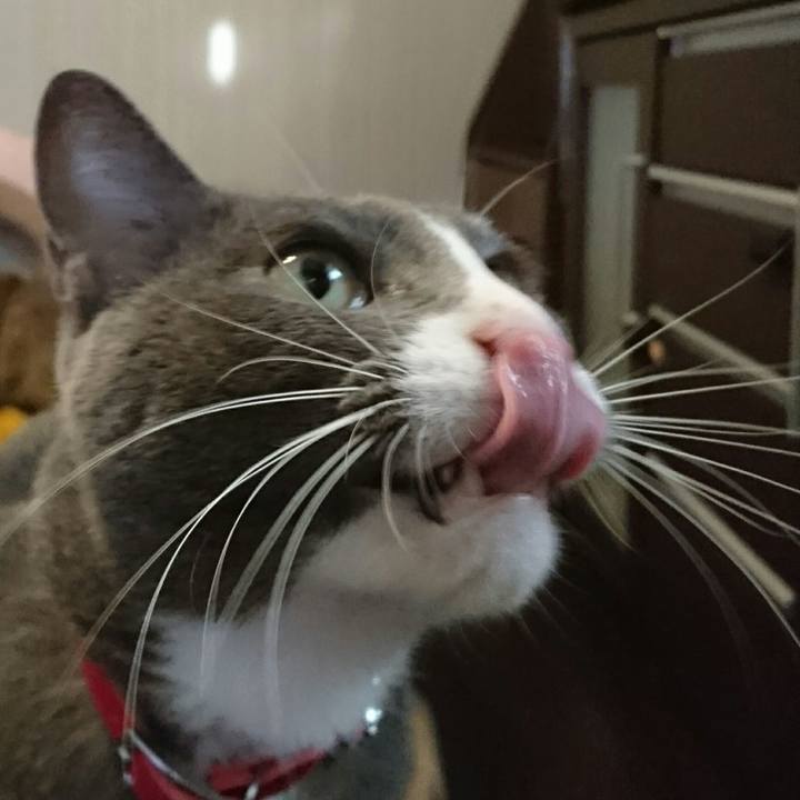 776d61cb 6117 4c2d 8260 939417aa6156