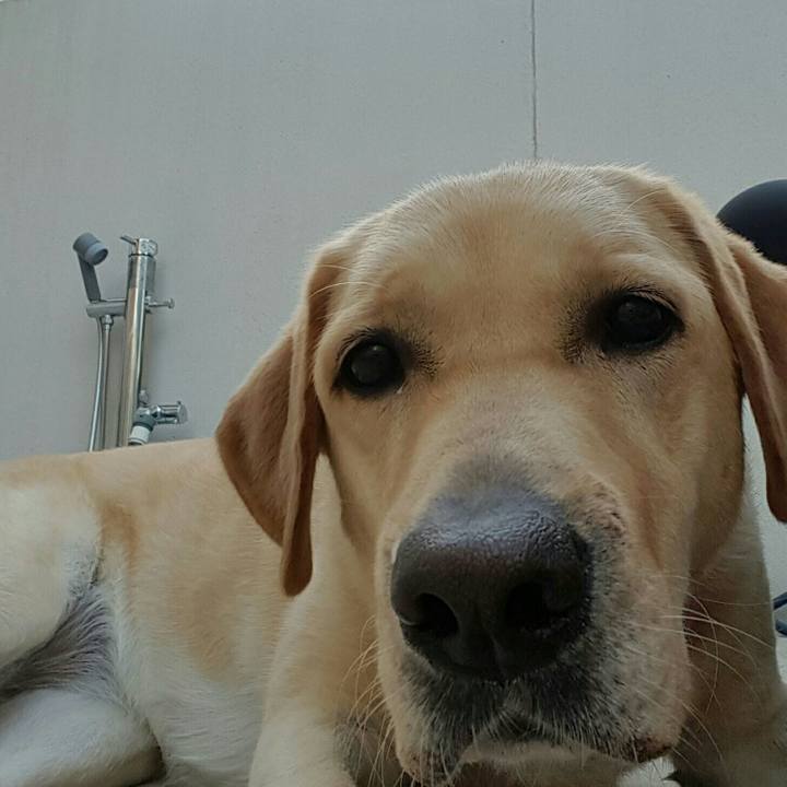 776d7ead 6faf 40cc 93a8 e32123c5e362