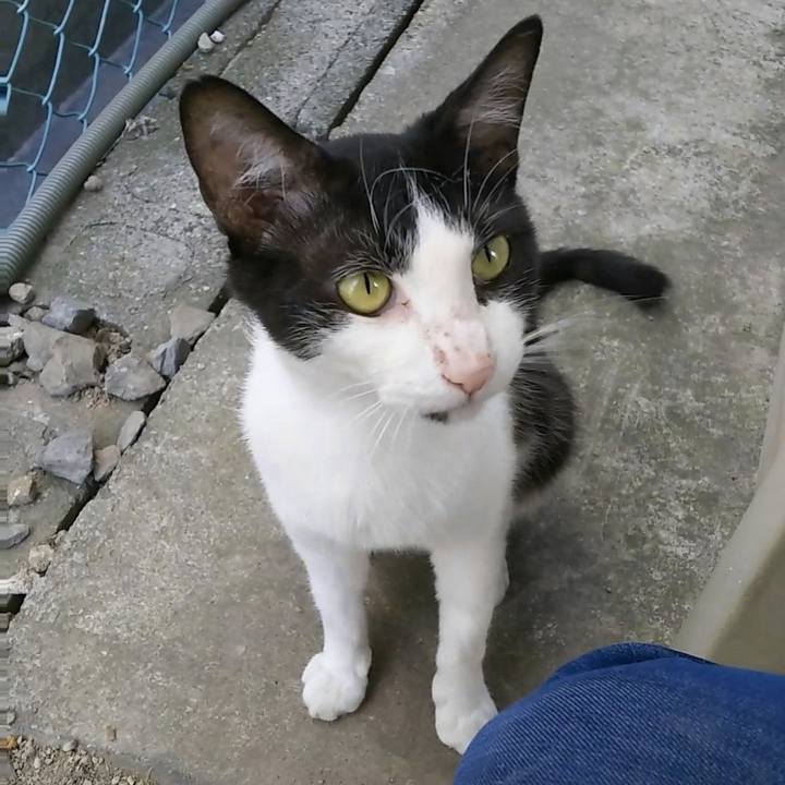 776d9e91 6350 4a66 9536 ac2361b962c1