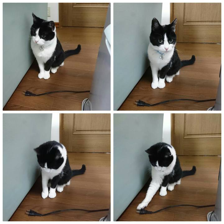 776e04b6 186c 4041 bfed 1b4064d3a07b