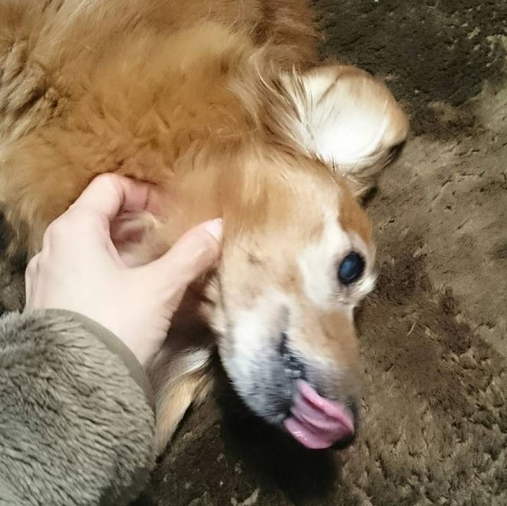 776e085b 5ff4 4bf0 bc1a 0516310d3d7a