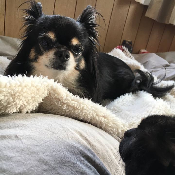 776e56eb 6542 44a6 8f38 e6e75ca98217