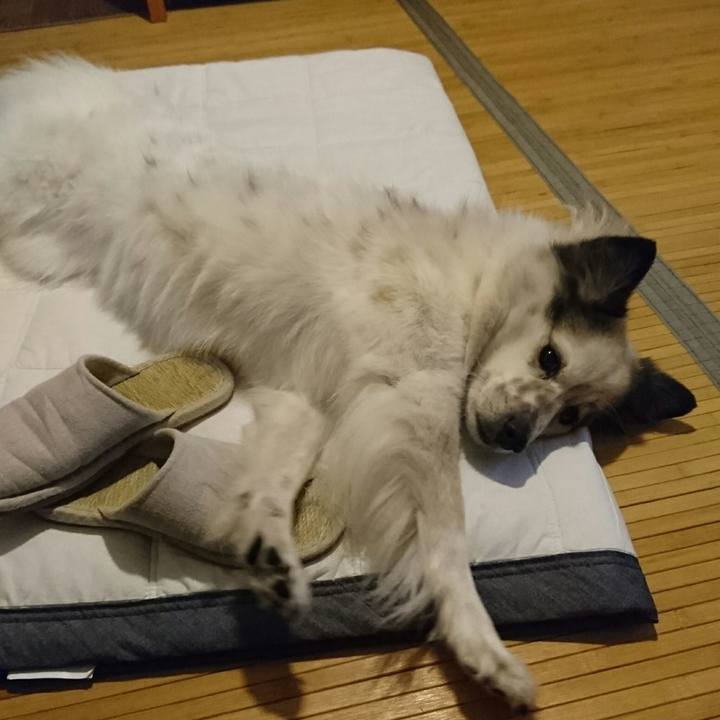 776ebc07 8712 41e7 b996 58f281bcc269