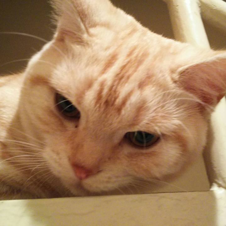 776ed767 4982 4565 9f9d a251bb1af7ff