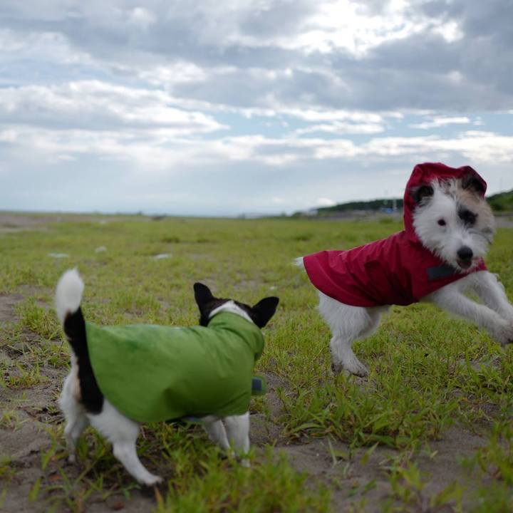 776ee0dd 47f0 4ac2 a869 55567ec51146