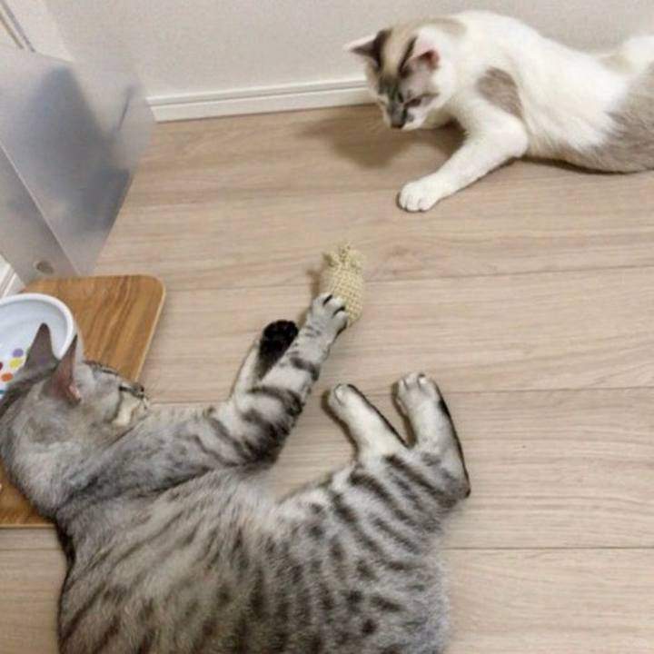 776f55fd 8011 4c28 b78b 30d87b1f1c29