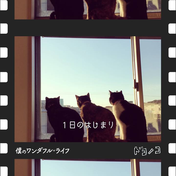 77704e70 d765 4112 b0a1 209585f2d5a9