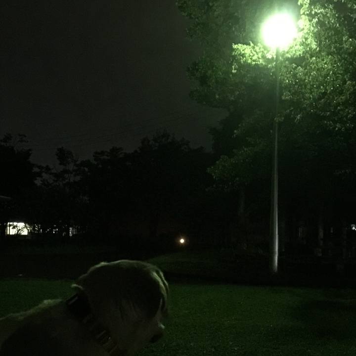 7770a3f2 d16e 4e72 a426 b38ff96f8d0f