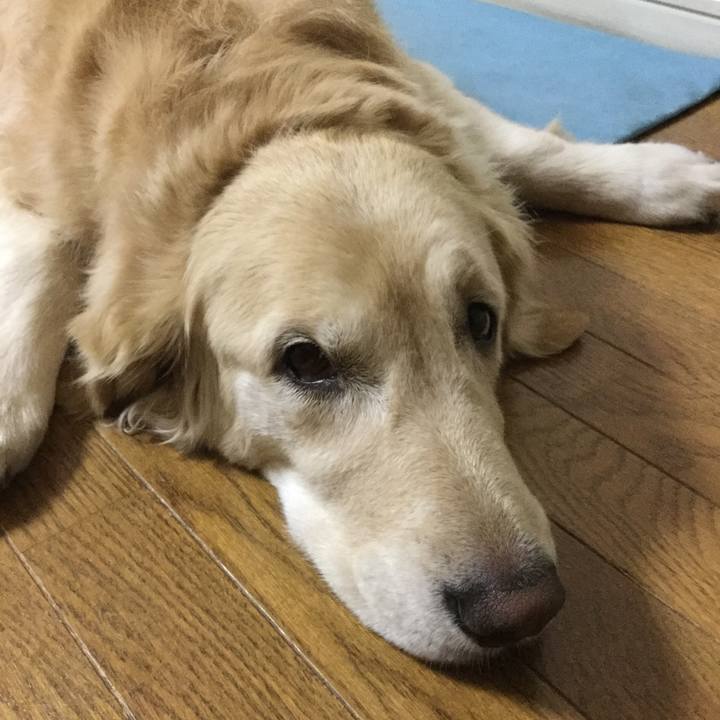 777149f4 ce28 4c65 8b99 2a8327ff7676