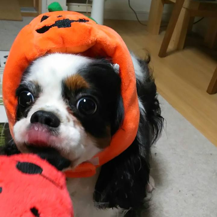 7771e67d a746 48ff 96d8 0857aaf33c8e