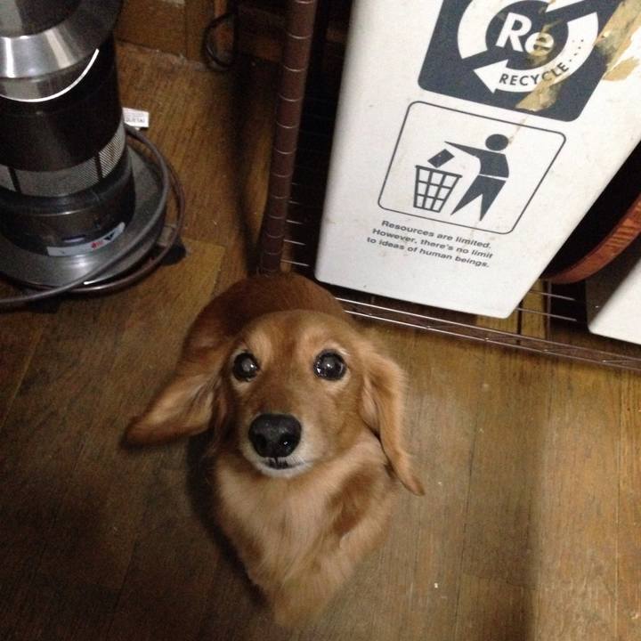 777205b6 f475 445c a5b6 9eac2d7ad8e5